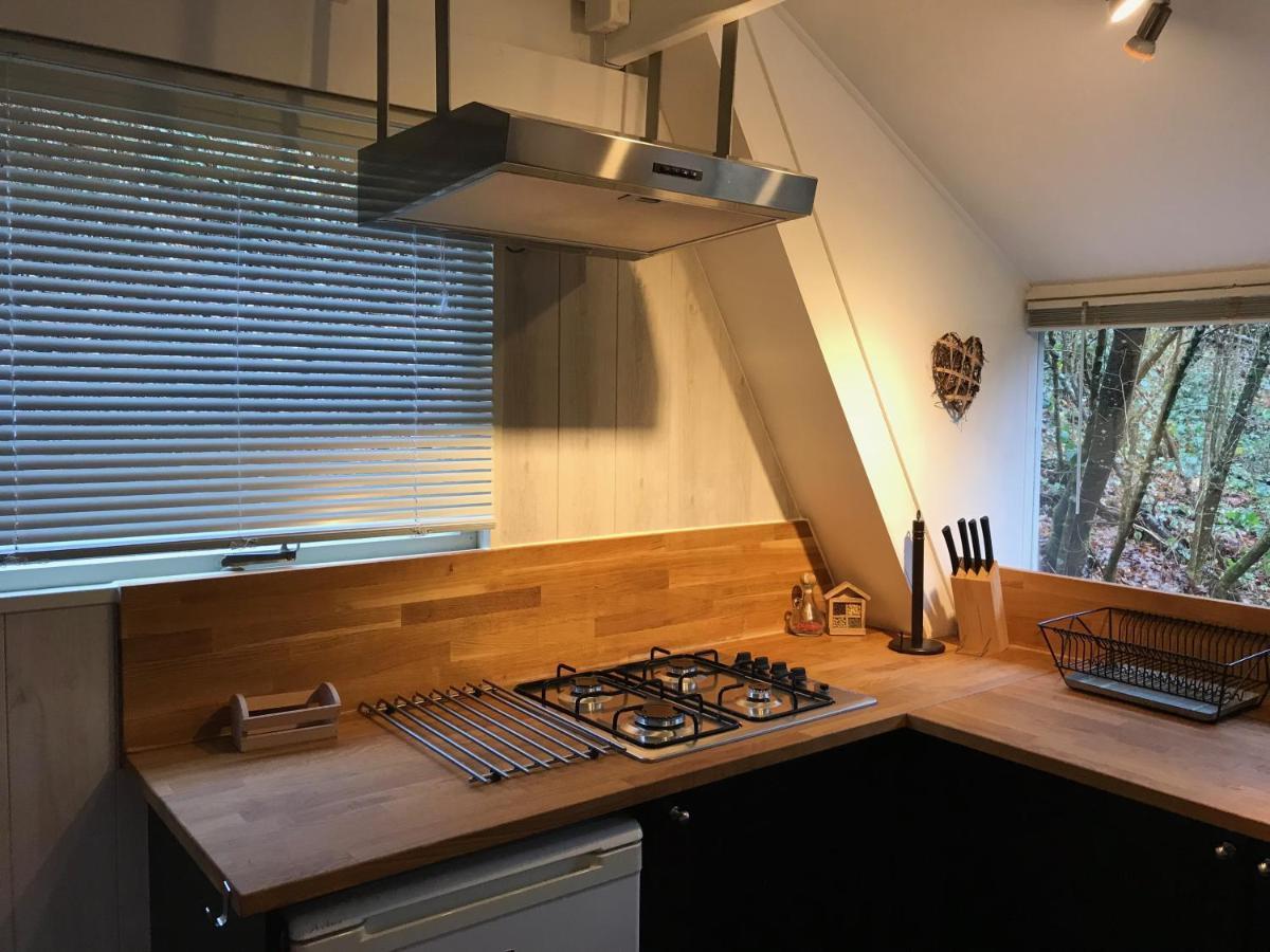 Heavenly Renovated Cabin Near Pittoresque Durbuy - Whistler Villa Kültér fotó