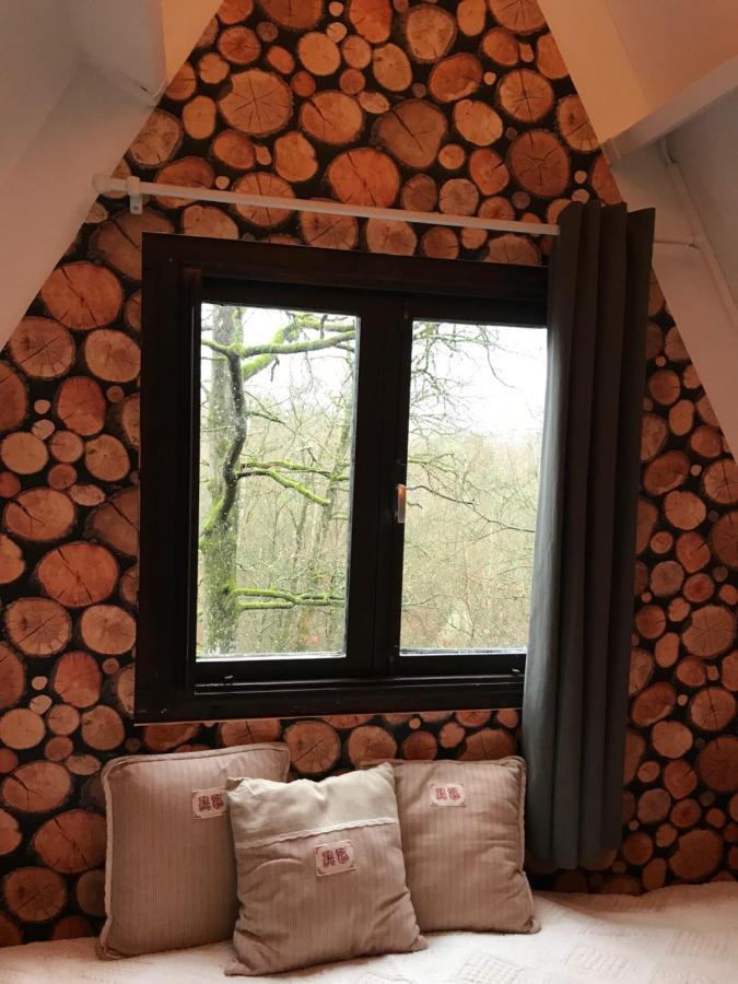 Heavenly Renovated Cabin Near Pittoresque Durbuy - Whistler Villa Kültér fotó