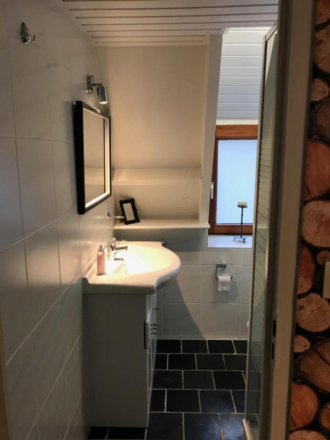 Heavenly Renovated Cabin Near Pittoresque Durbuy - Whistler Villa Kültér fotó