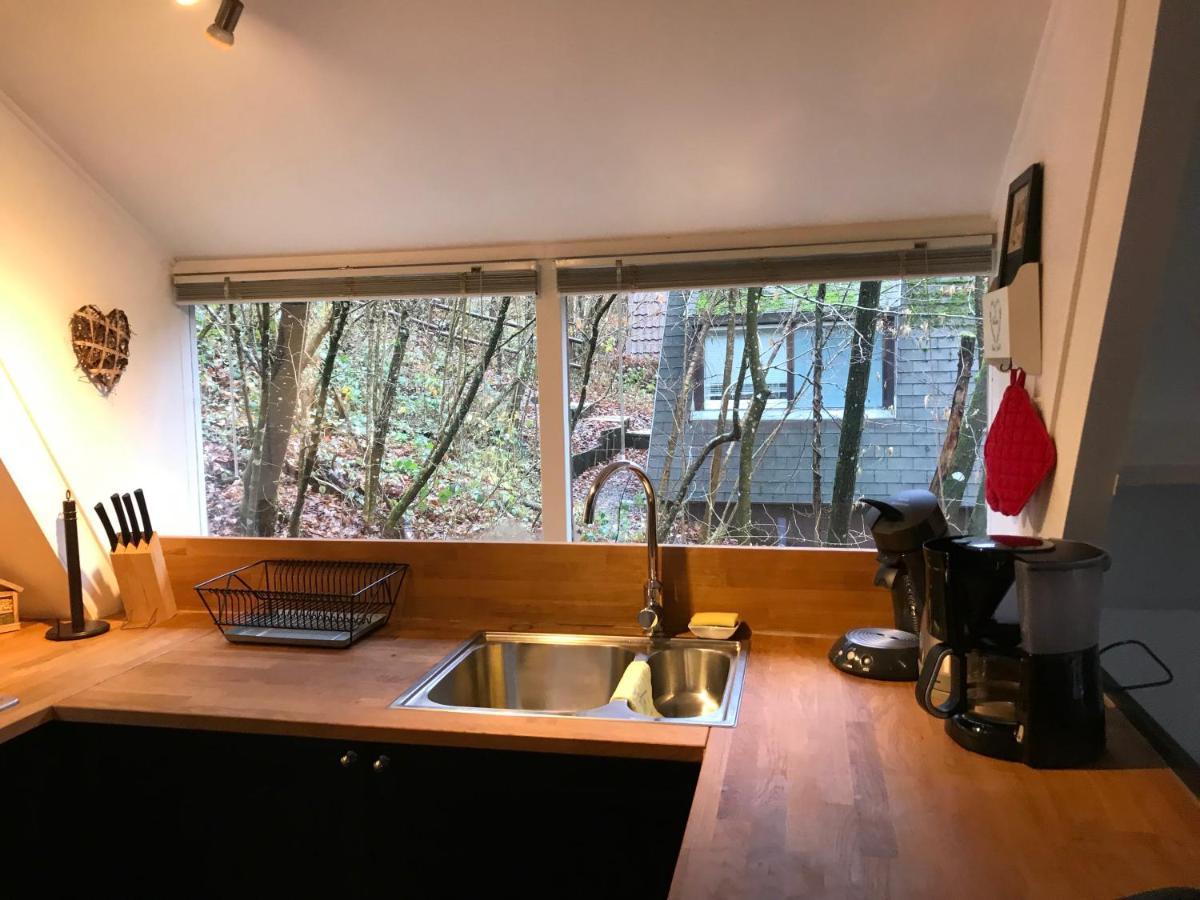 Heavenly Renovated Cabin Near Pittoresque Durbuy - Whistler Villa Kültér fotó