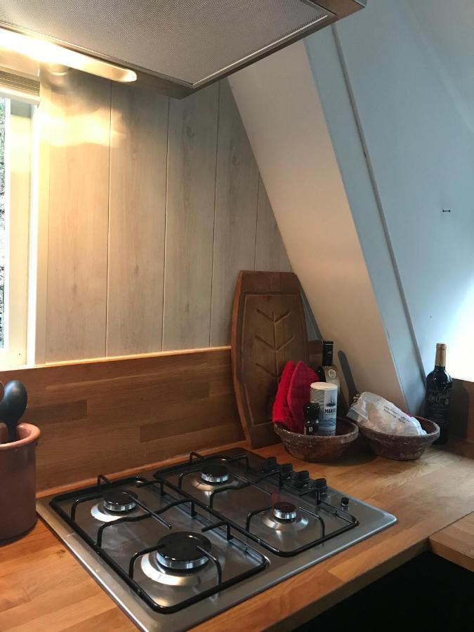 Heavenly Renovated Cabin Near Pittoresque Durbuy - Whistler Villa Kültér fotó