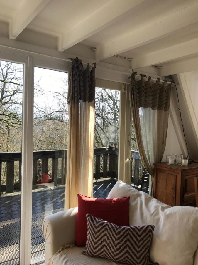 Heavenly Renovated Cabin Near Pittoresque Durbuy - Whistler Villa Kültér fotó